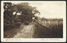 17403 Gezicht op een zandweg naar de Donderberg bij Leersum.